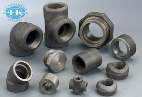 Forged Fittings